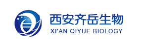 QQ؈D20240403091320.png