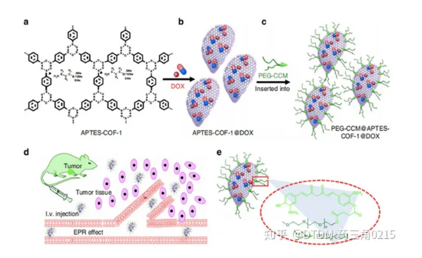 PEG-CCM@APTES-COF-1DOXؓ(f)dϳɼoˎСЧ