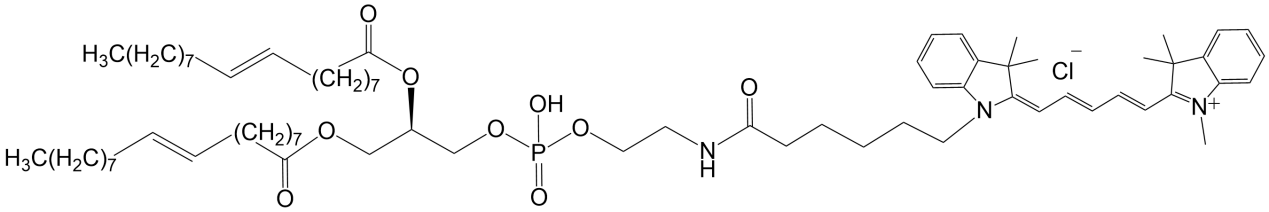 CY5(bio)ӛ֬ҴCY5(bio)ӛDOPE