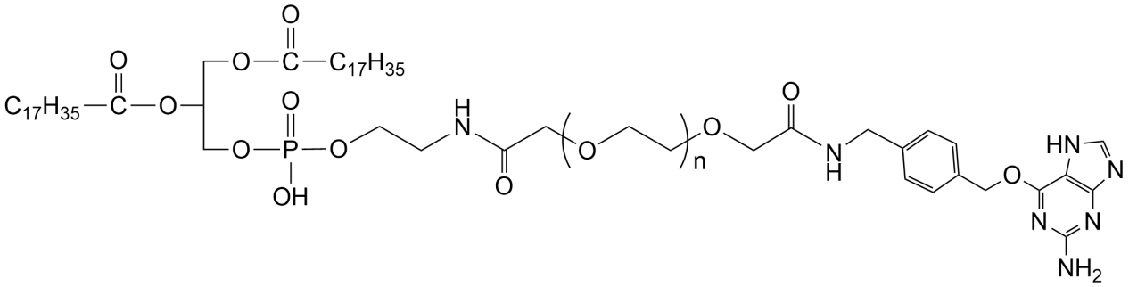 DSPE-PEG-BenzylguanineSBPEG֬|