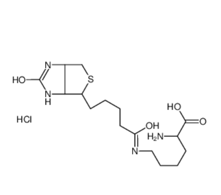 	N-Biotinyl-L-lysine	 
