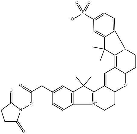 CY3B-