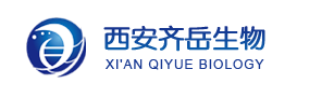 ϩ\۱