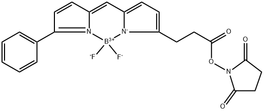BODIPY R6G NHS ester