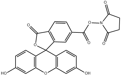 6-Ȼɹ
