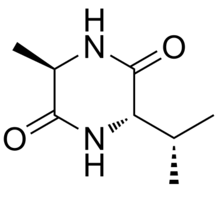CyClo(-D-Ala-Val) 