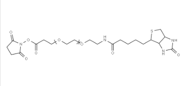 +-Biotin-PEG12-NHS Ester