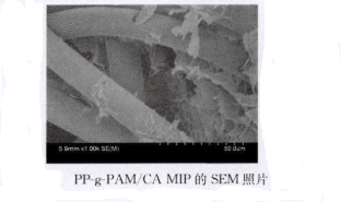 ṩPPwS֦ӡE۱ϩ/}ˮz(PP-g-PAM/CA NIP)Ƃ^(gu)̺SEMDƬ