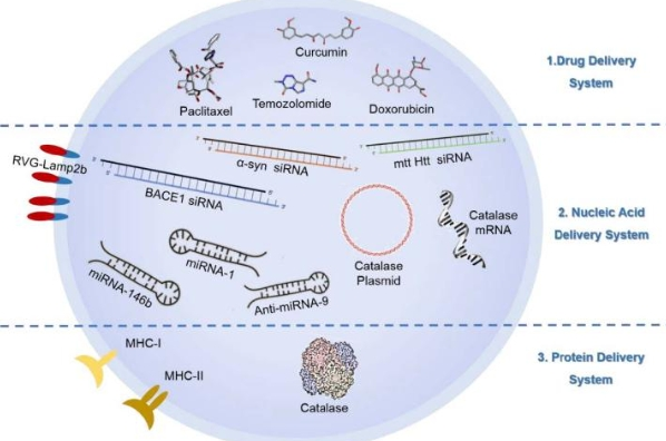 ˎﻯWYʽԼg Chemical Structure Modification of Drugs