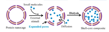 ~-ˎż(lin)ﶨƼg(sh) Folic AcidCDrug Conjugate Targeted Delivery Customization