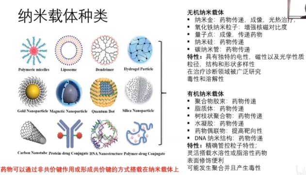 ɹأFITCż(lin)հ֬|(zh)wƼg(sh) FITC-Conjugated Blank Liposome Customization