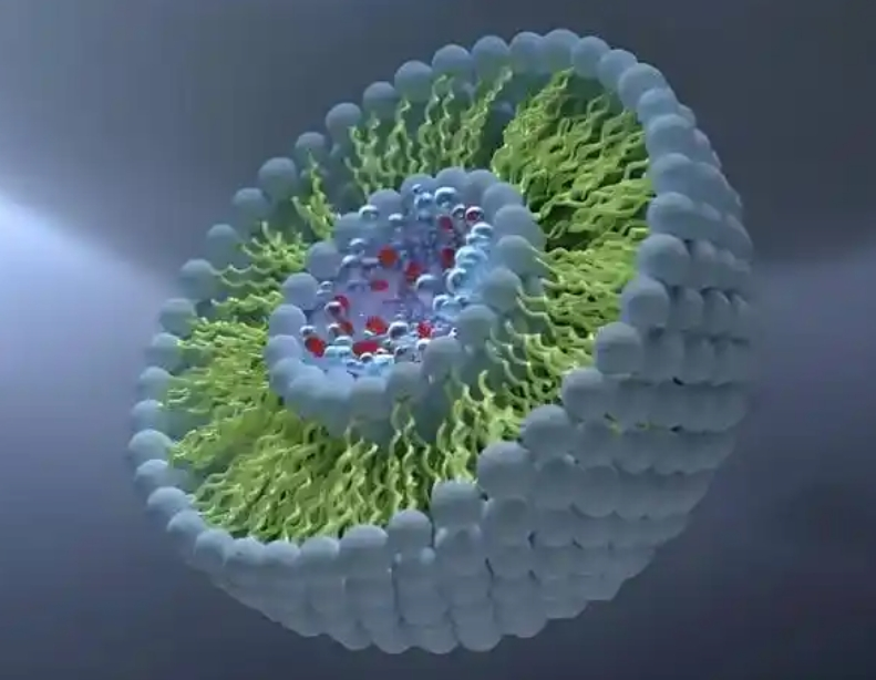 ۱ϩ鶨Ʒ(w) Silica-coated Polystyrene Magnetic Beads