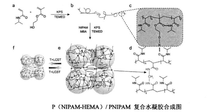 P(NIPAM-HEMA)/PNIPAMW(wng)j(lu)(f)ˮzϳɈDc PNIPAMz^(yu)ȱc(din)