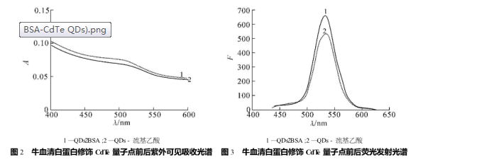 ţѪ׵ˮڻkc(BSA-CdTe QDs)ɹ̽ӵęzy|pgӹٷ﹩