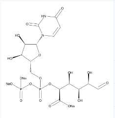 UDP | UDP-GlcA;CAS: 63700-19-6;5'-ȩcUDP-ȩc}