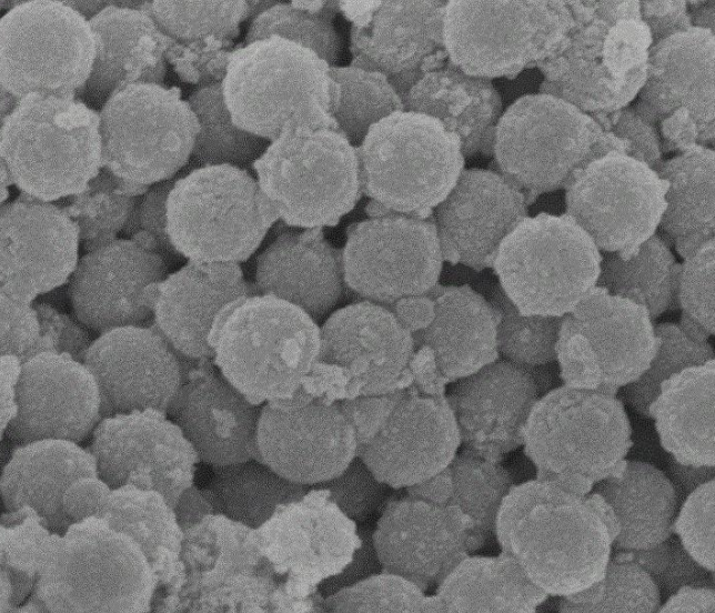PEG{׽Gold Nanoparticles PEGԻF(tun)ƺϳ