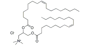 DOTAP|cas132172-61-3  |2,3-)׻Ȼ@