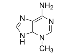 ֬|(zh)w3-׻ 3-Methyladenine@LiposomesđԼPa(chn)Ʒ