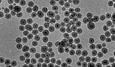 PAA @Fe3O4 nanoparticles(30nm ۱ϩF{w30nm