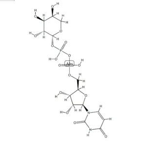 Udp-